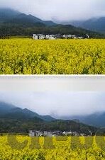 91加勒比麻豆精品-91加勒比——麻豆精品的海洋探索