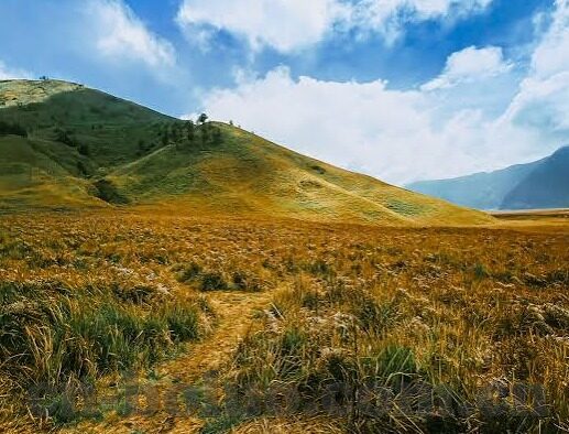 成人性视频免费-成人性视频，网络时代的灰色地带与伦理考量