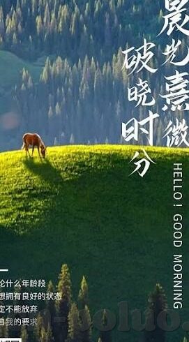 大象91传媒-探索大象91传媒，数字时代的文化传播与创新