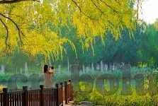 麻豆av在线免费观看-「娱乐新视界，免费解锁麻豆AV的观看新体验」