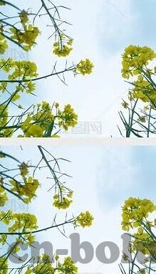 麻豆传媒在线免费看-探索麻豆传媒的观看探索及其注意事項