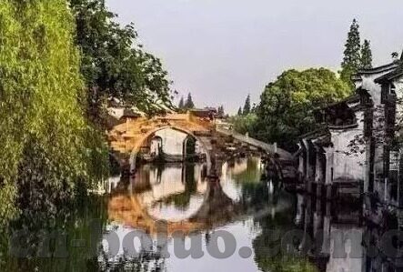 麻豆沈樵肉丝AV-破晓的阴影，数字时代下网络内容的社会性探讨