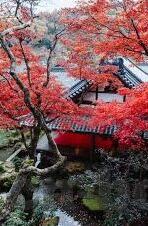 色一情一区二区三区四区-探索网络世界的多元色彩，色一区、二区、三区、四区的奥秘