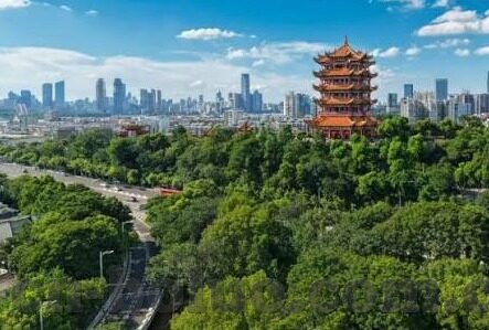 手机版大象传媒-探索手机版大象传媒，移动互联网时代的媒体新生态