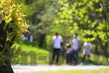糖心直播app下-让爱与真实在糖心直播绽放——迷失与觉醒的平衡点