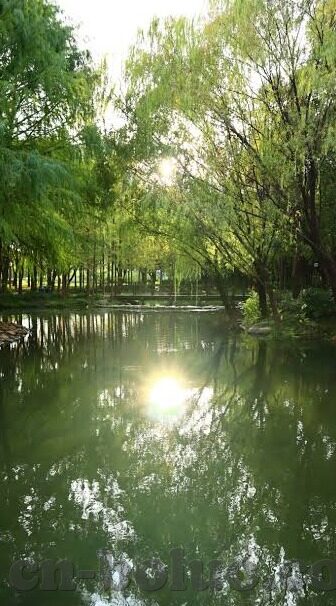 午夜福利波多野结衣人妻-午夜私语，波多野结衣的荧幕魅力与现实生活的交织