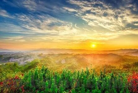 纤纤影视 一区 二区-纤纤影视，一区二区的多元娱乐新体验
